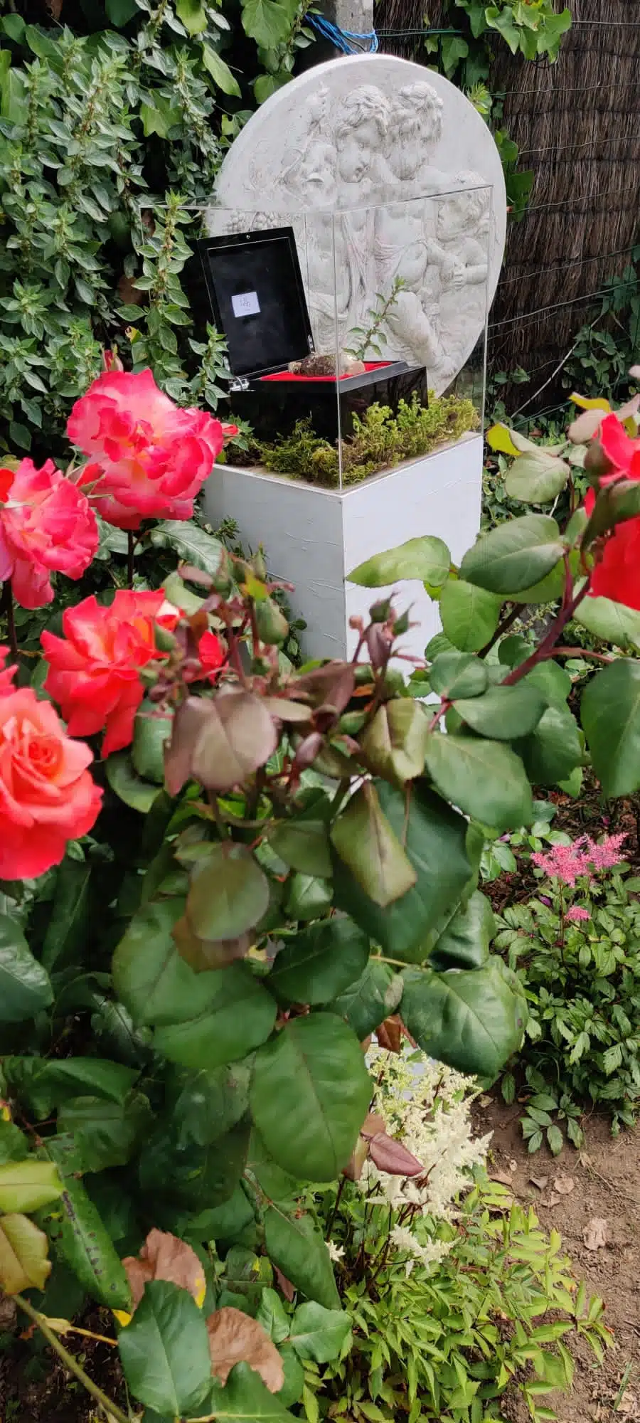 Inauguration du jardin des senteurs