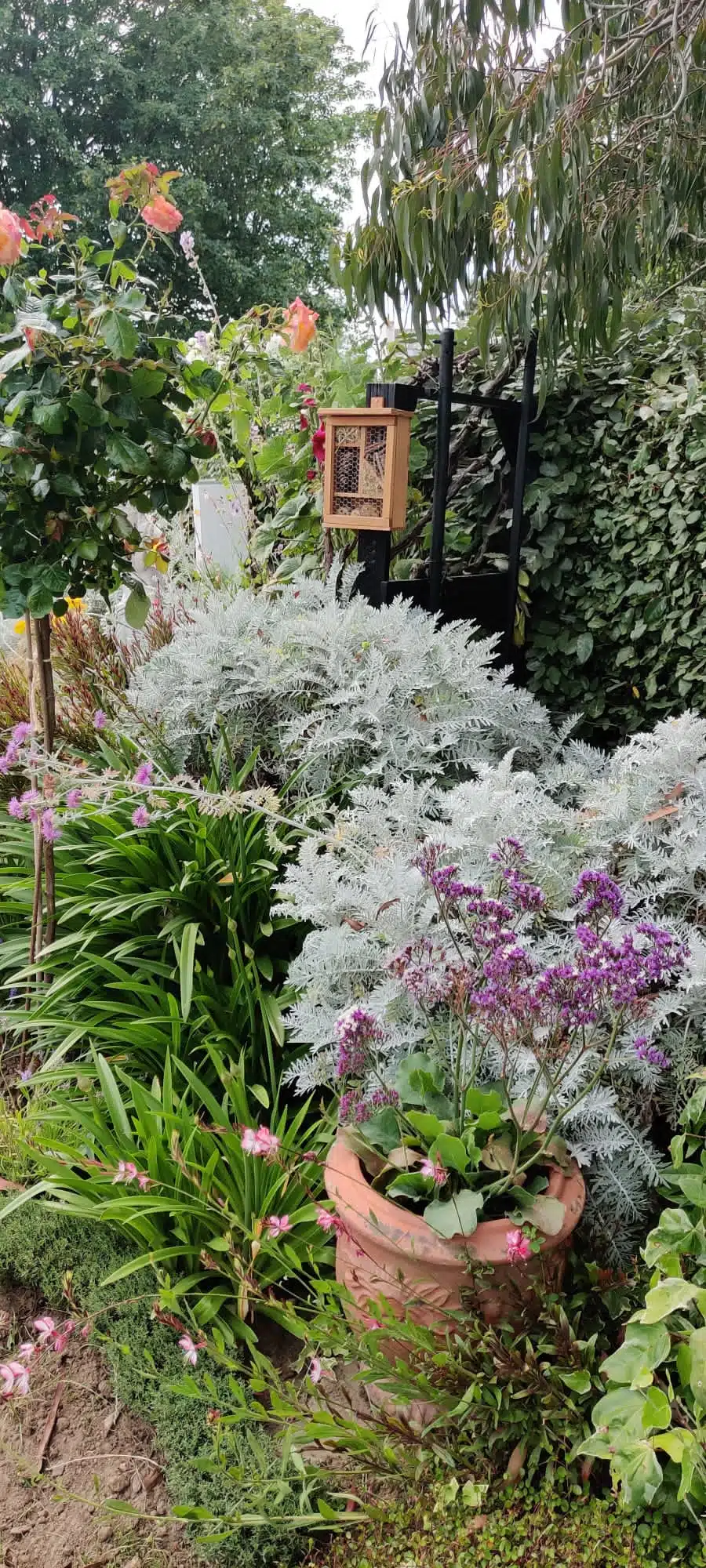 Inauguration du jardin des senteurs