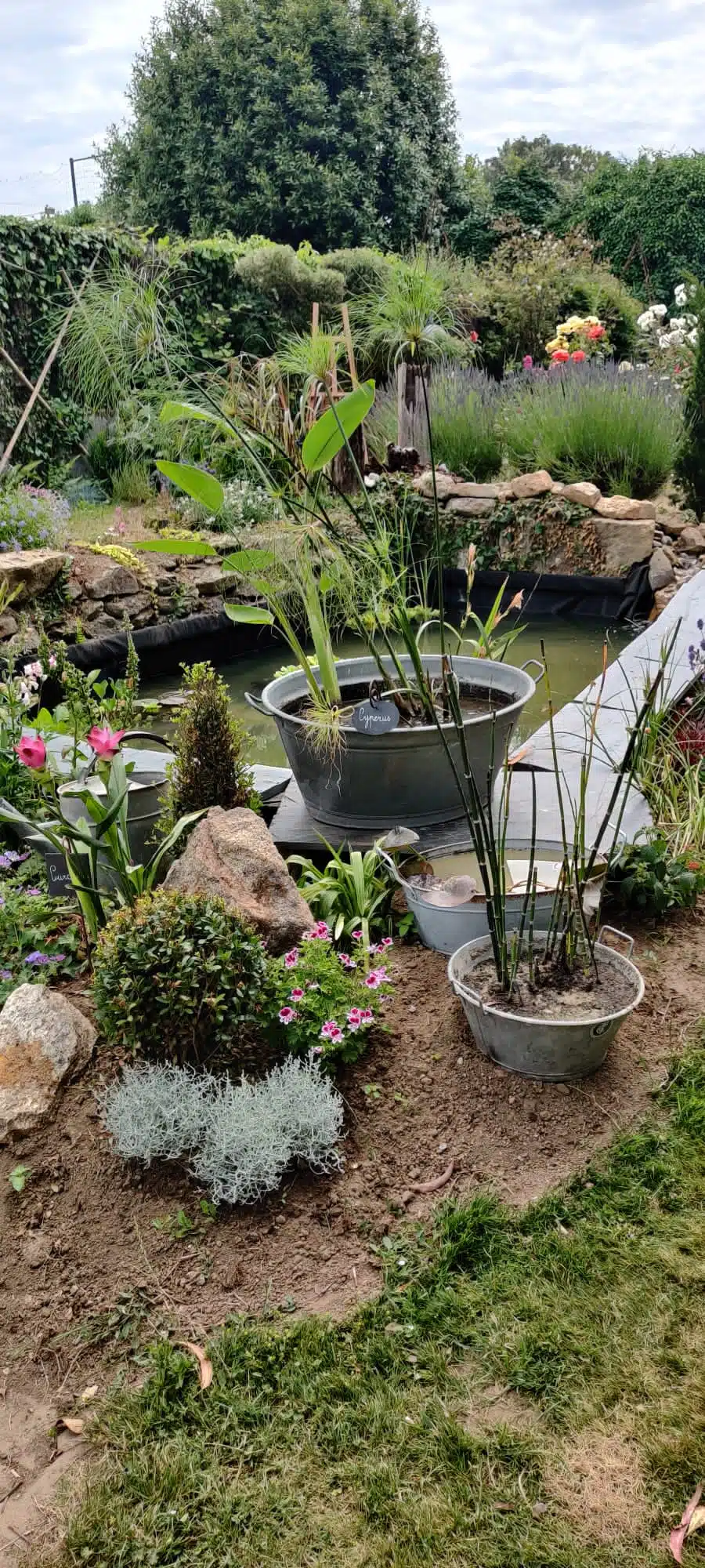 La mise en beauté du jardin des senteurs à été réalisé en partenariat avec "Botanic Quimper"