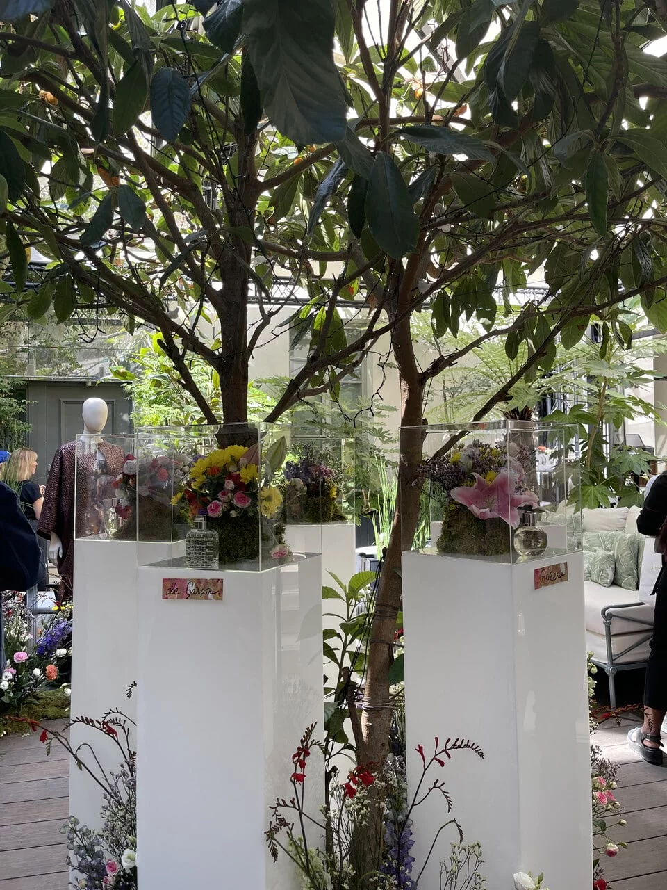 Présentation Rozenn