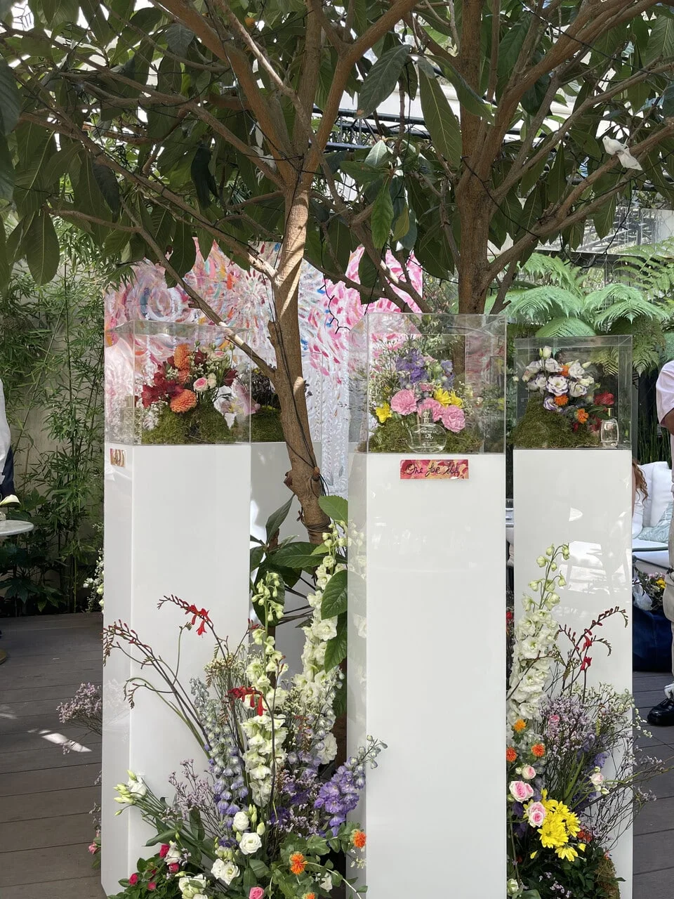 Présentation Rozenn